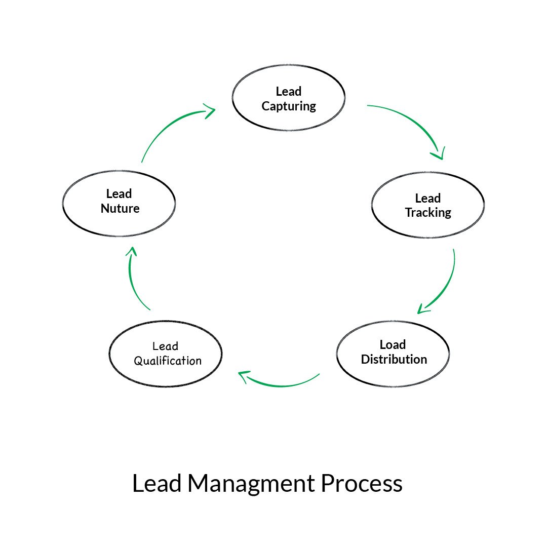 Everything You Need to Know About the Best Lead Management System